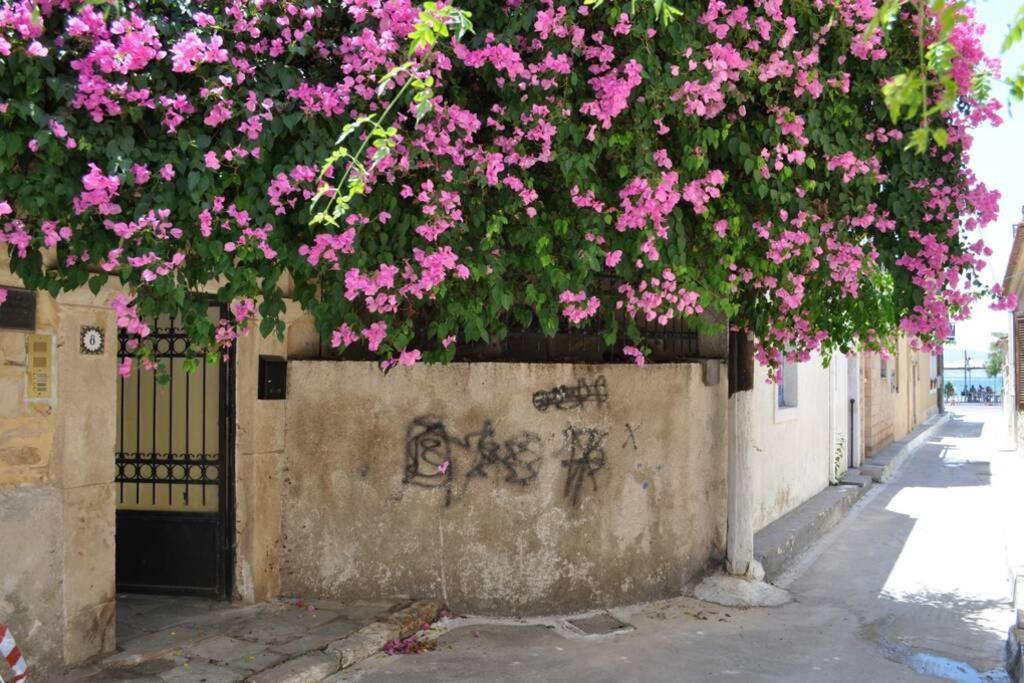 Κέντρο Αίγινα Ήσυχη Κατοικία90Τμ Δίπλα Στη Θάλασσα 외부 사진
